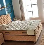 Baza de pat cu tablie si saltea Organic Cotton 100×200 cm