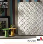 Baza de pat cu tablie si saltea Organic Cotton 120×200 cm