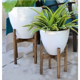 Set sport pentru flori,seria wood, Bahce Homs, lemn,700051